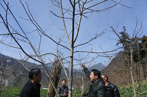 DSC_1027_副本.jpg